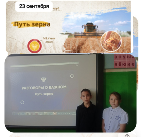 Путь зерна.