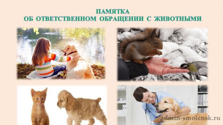 Безопасное и ответственное обращение с животными.