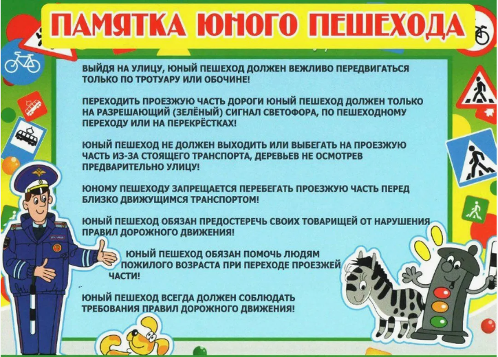 Профилактика детского дорожно-транспортного травматизма.